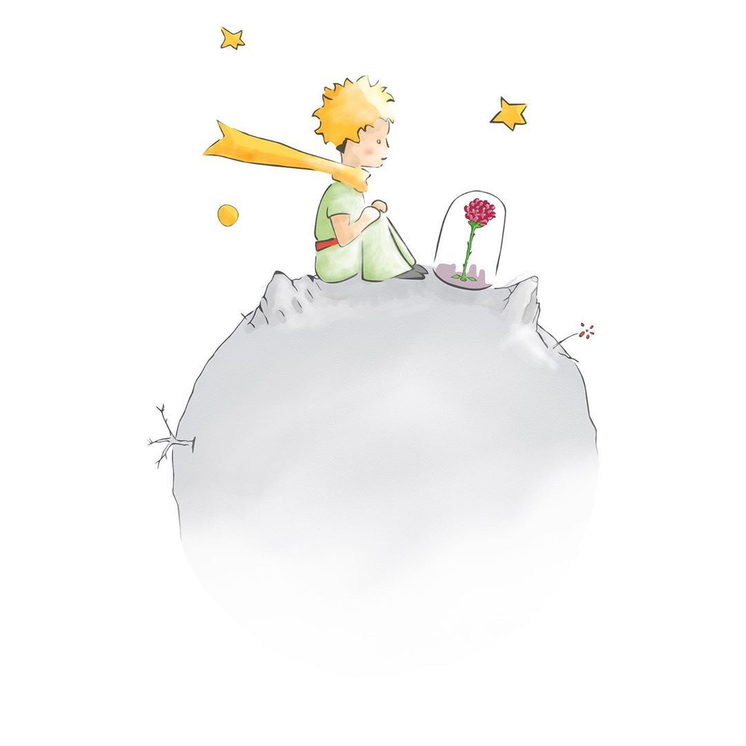 le-petit-prince-officiel-on-instagram_-its-the-time-you-wasted-for-your-rose-that-makes-your-rose-so-important_-lepetitprince-thelittleprince-elprincipito-ilpiccoloprincipe