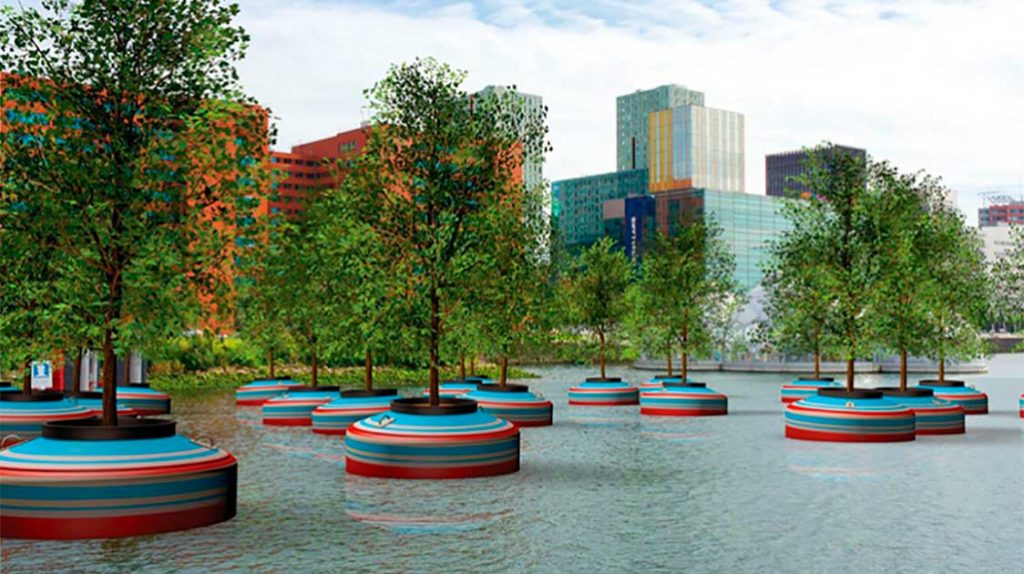 floating-forest-in-rotterdam-features-twenty-live-trees